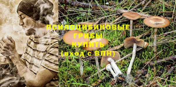 прущие крисы Армянск