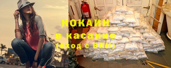 шишки Алексин
